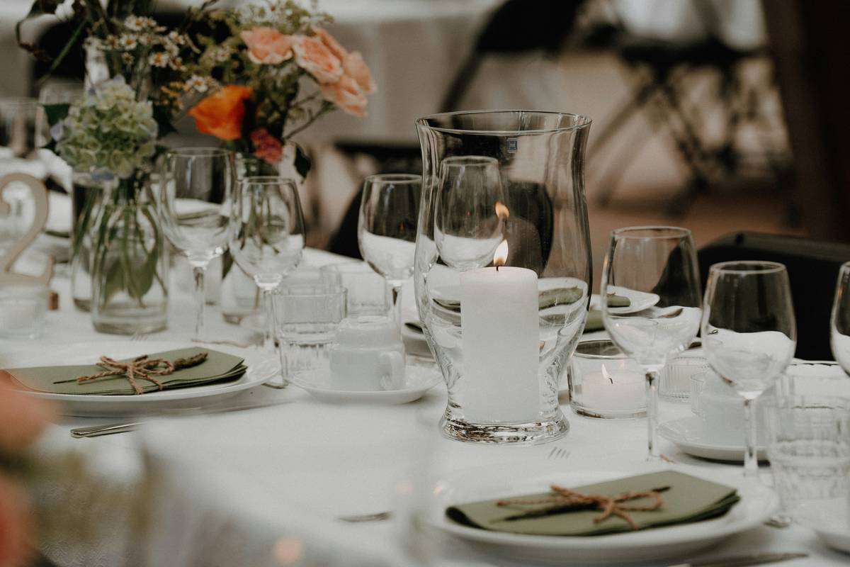 simple home wedding decoration ideas featuring string lights, potted greenery, and minimalist table settings in a sunlit backyard